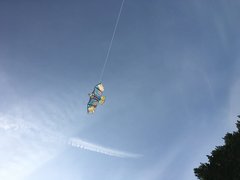 8DCB851B-750F-480B-A1CD-C095C0D22BA3.jpeg