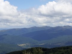 20190808_131429.jpg