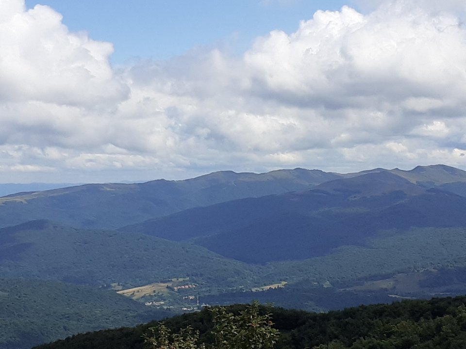 20190808_131429.jpg - Przemodkl79