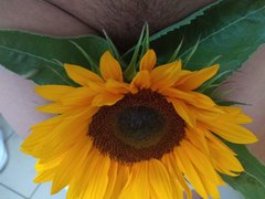 image000000_13.jpg