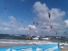 20190809_103055.jpg