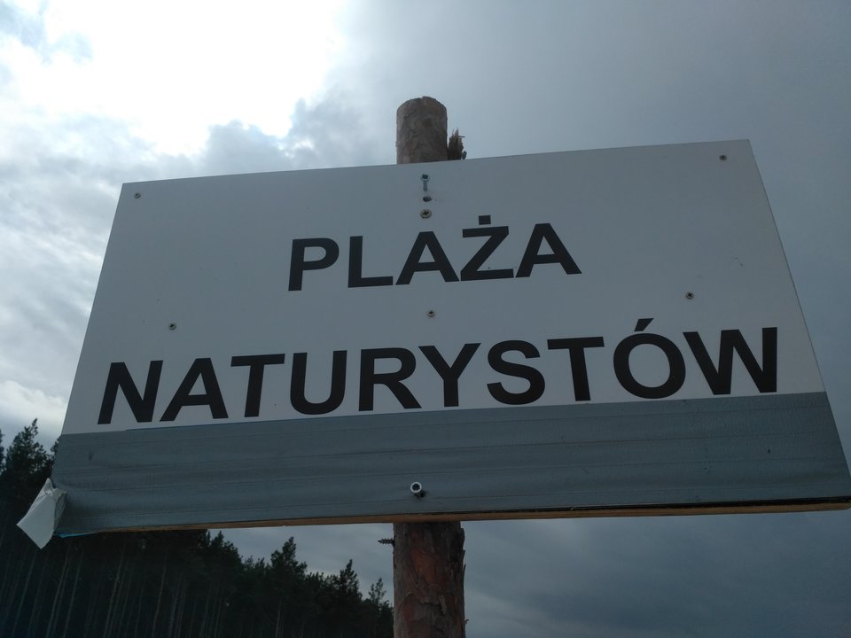 Dębki 2019 - parazmazur2
