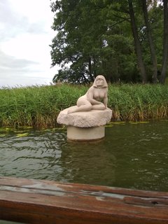 IMG_20190810_151008.jpg