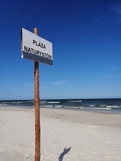 IMG_20190811_104408.jpg