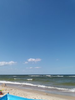 2019-08-11 12.31.58.jpg