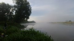 20190810_055427.jpg