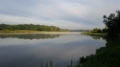 20190810_061610.jpg