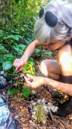 20190811_075707.jpg