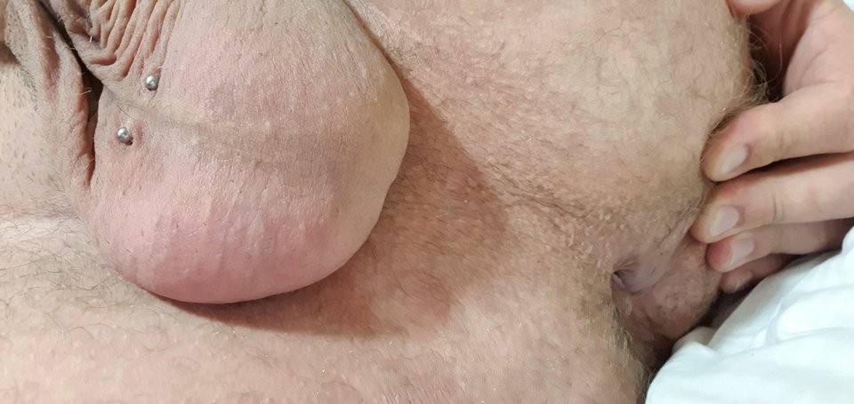 20190811_135419.jpg - giacomo69