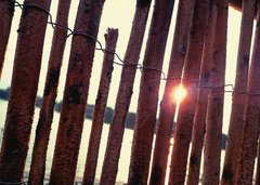 IMG_20190805_193238_644.jpg