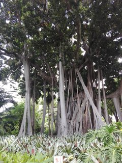 IMG_20190713_150801.jpg