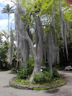IMG_20190713_145649.jpg
