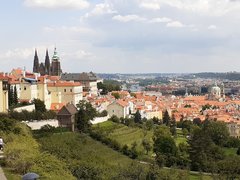 20190814_125304.jpg
