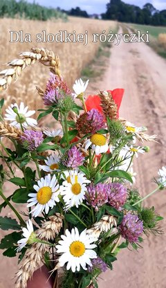 IMG-20190811-WA0000.jpg