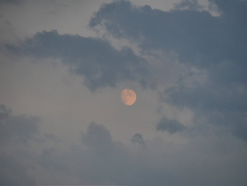 P1080330a.jpg - FoKam431