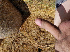 20190815_114614.jpg