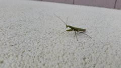 20190815_113557.jpg