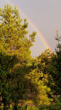 20190814_191327.jpg
