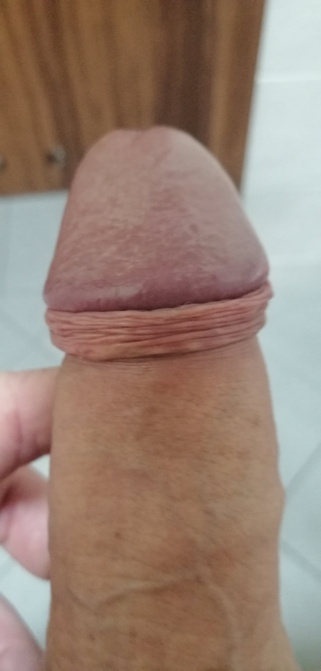 Nowik1337