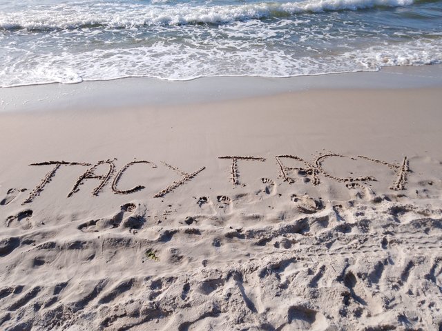 TacyTacy