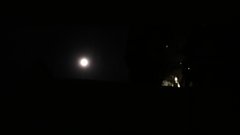 20190817_022857.jpg