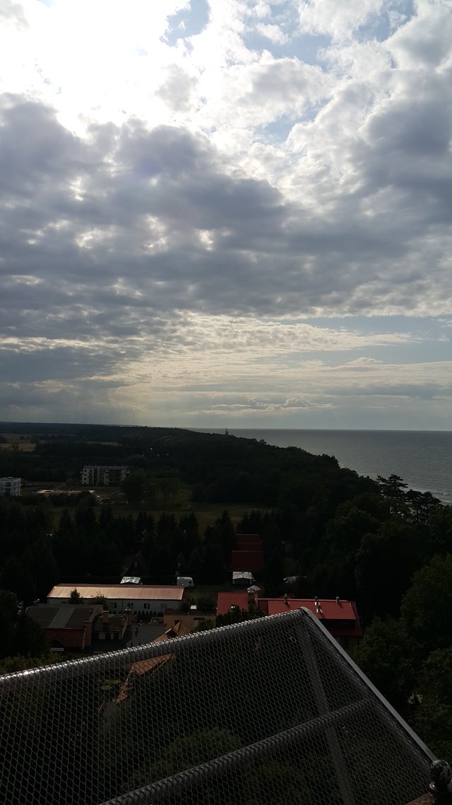 tobiasz67