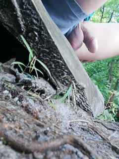 IMG_20190817_133018.jpg