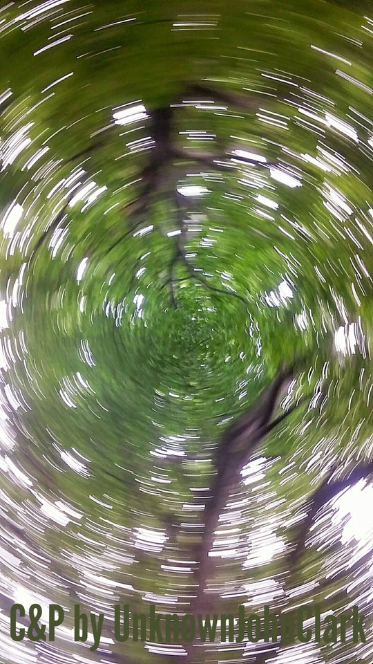 TheTrees.02.jpg - UnknownJohnClark