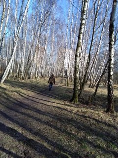 IMG_20170308_141312.jpg
