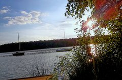 20190818_191733.jpg