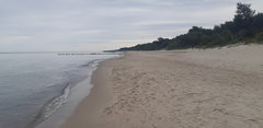 20190815_180227.jpg