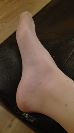 18043065_615180645352124_1964020131_o.jpg
