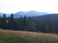 20190807_165046.jpg
