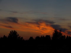 IMG_20190813_124057.jpg