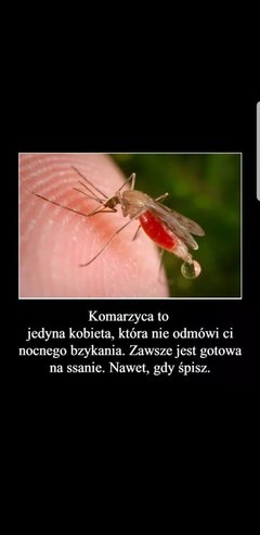 Screenshot_20190820-185631_Gallery.jpg