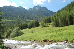 DSC_9944.JPG