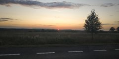 IMG_20190821_194940.jpg