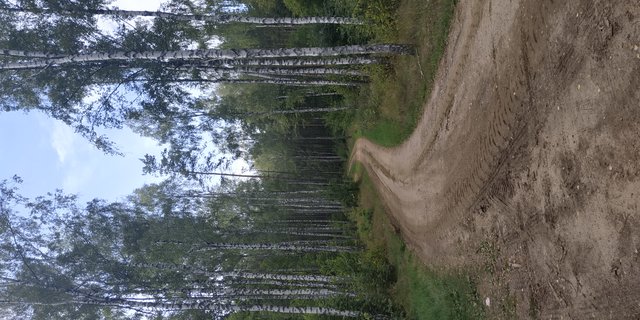 bankowiecx1
