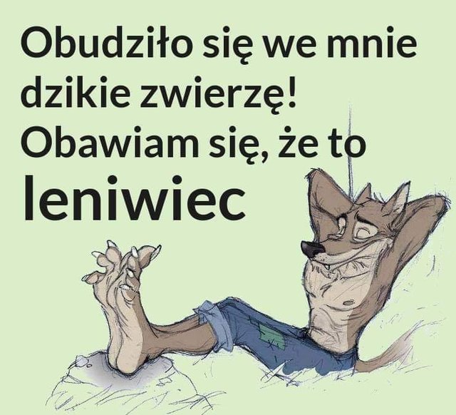 mi33
