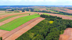 DJI_0496.jpg