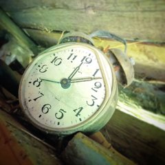 11015AFE-1FD4-4704-AF1A-650FD7F68AF7.jpeg