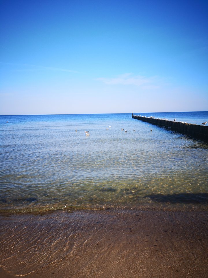 IMG_20190823_094758.jpg - _wroawk