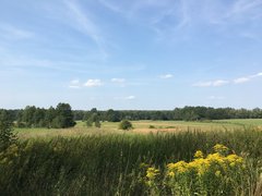 60996AFB-4F22-4B33-9A0A-8D93D8450CBE.jpeg
