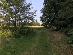 7AC3E408-ECC6-48FF-95CE-025AE8C22BFE.jpeg