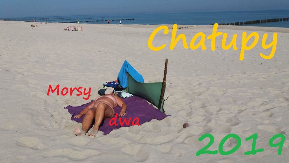 Plaża - Morsy_dwa