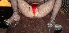 red pussy.jpg
