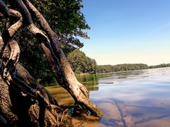 20190825_154152.jpg
