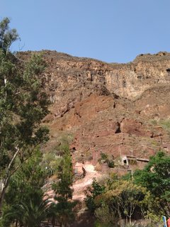 IMG_20190726_094259.jpg