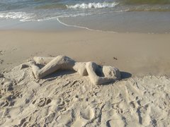IMG_20190825_165525.jpg