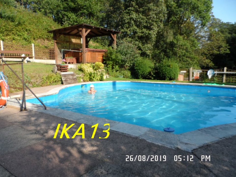 SAM_2310a.jpg - ika13